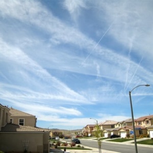 Enviro3 Environmental Allergies