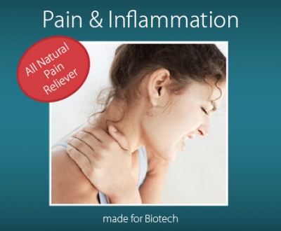 Pain and Inflammation Therapy Patch