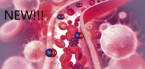 Nitric Oxide Support